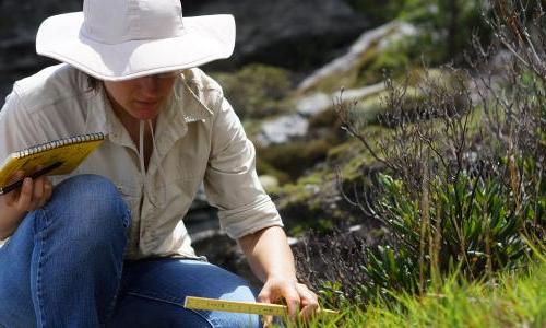 Scientist crouching on a hillside with ruler and notebook